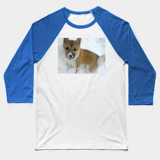 shiba inu puppy third Baseball T-Shirt